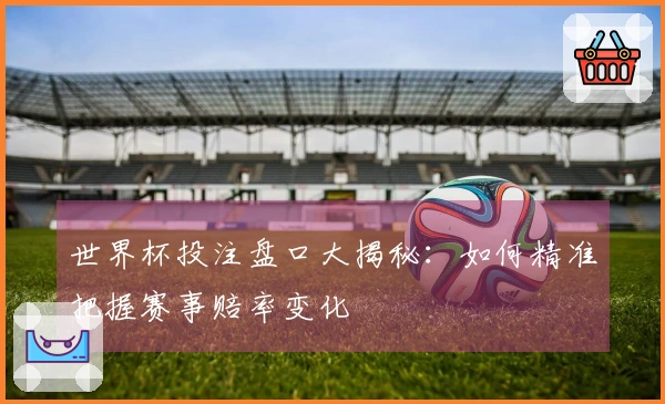 世界杯投注盘口大揭秘：如何精准把握赛事赔率变化