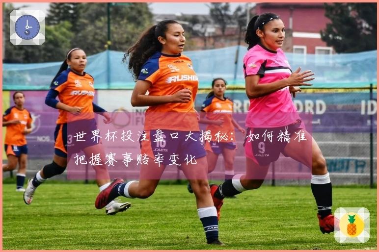 世界杯投注盘口大揭秘：如何精准把握赛事赔率变化