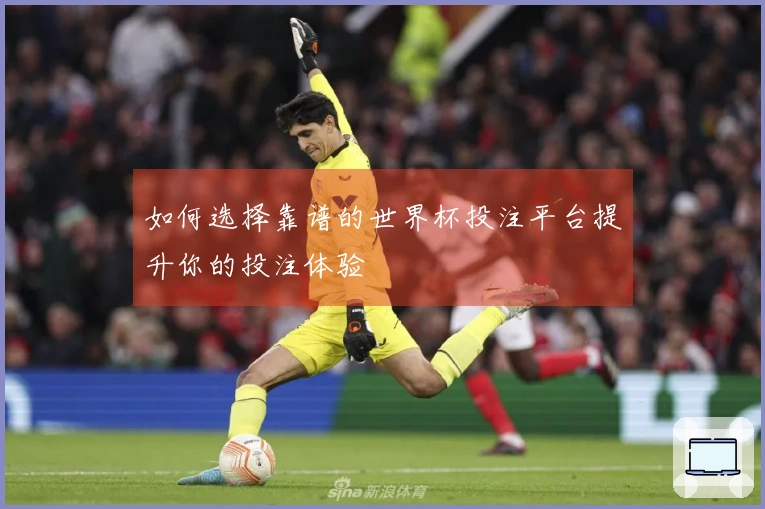 如何选择靠谱的世界杯投注平台提升你的投注体验