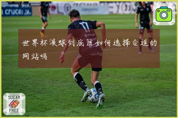 世界杯滚球到底该如何选择合适的网站吗