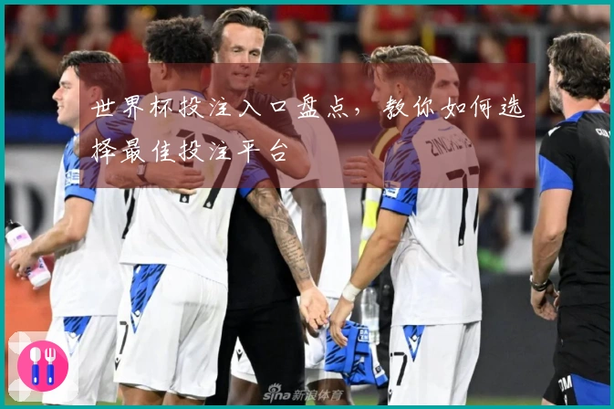 世界杯投注入口盘点，教你如何选择最佳投注平台