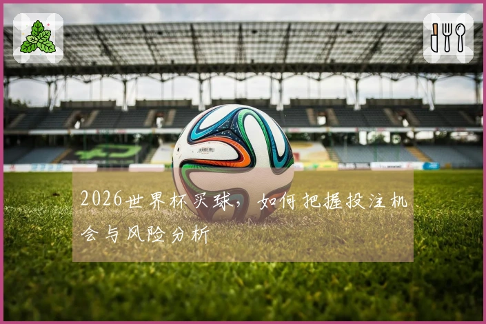 2026世界杯买球，如何把握投注机会与风险分析