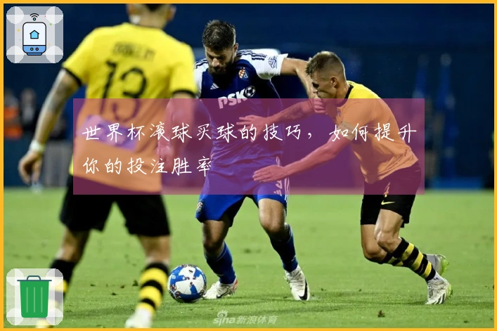 世界杯滚球买球的技巧，如何提升你的投注胜率
